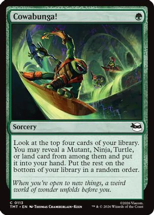 Cowabunga!  [Teenage Mutant Ninja Turtles]