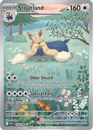 Stoutland 155/086  - Holofoil SV White Flare - Illustration Rare